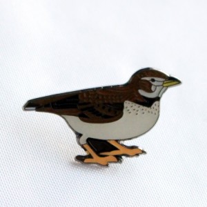 Pond Duck Sparrow Oriole Siskin Hard Imamel Bird Pins